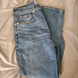 Everlane Cheeky Straight Jean